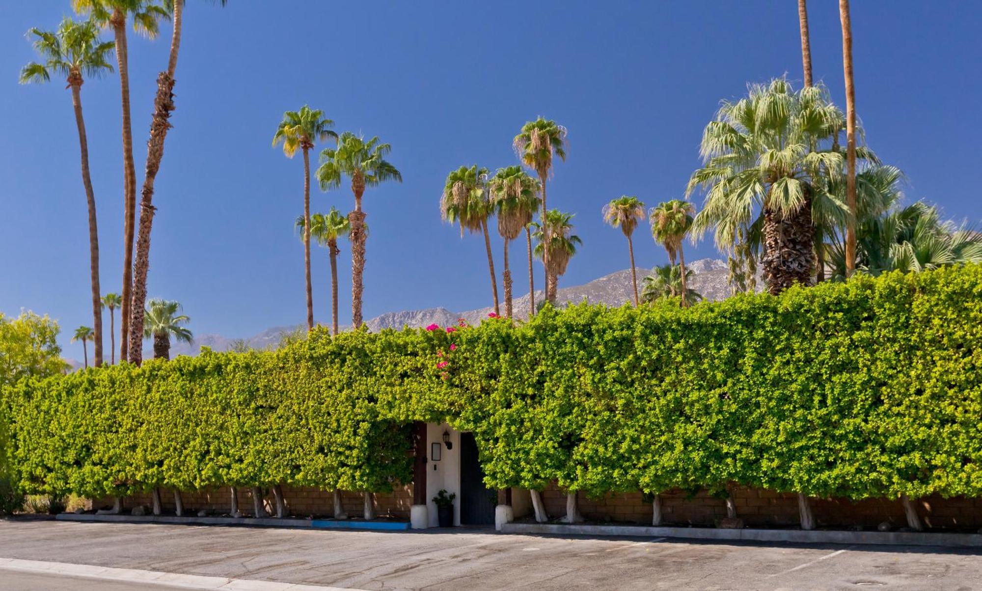 La Maison Hotel - Adults Only Palm Springs Buitenkant foto